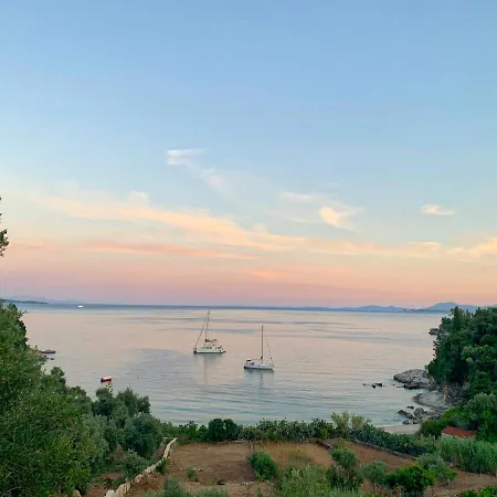 Paleopetres K-six - Premium - - *