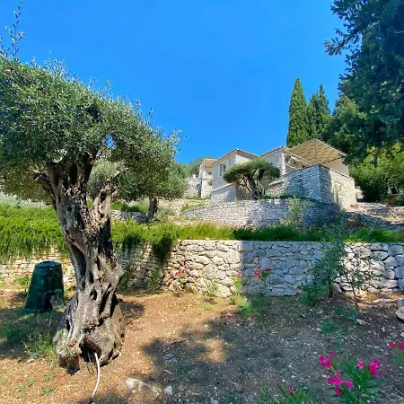 Paleopetres K-six - Premium - - Kalámi