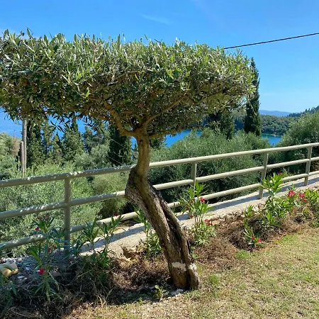 Paleopetres K-six - Premium - - Kalámi