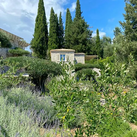 Paleopetres K-six - Premium - -