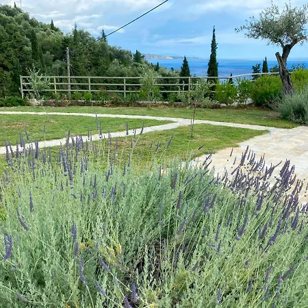 Casa vacanze Paleopetres K-six - Premium - -